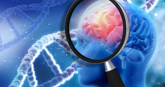 Imagen: Shutterstock