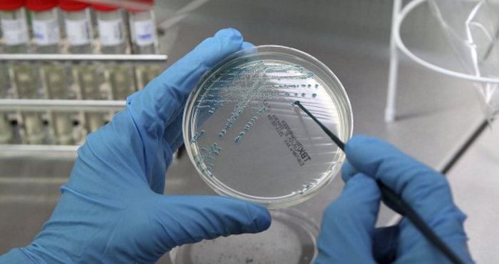 El Día Mundial del Cáncer, que se celebra cada 4 de febrero, llama nuestra atención sobre una enfermedad que continúa azotando la sociedad. Foto: EFE