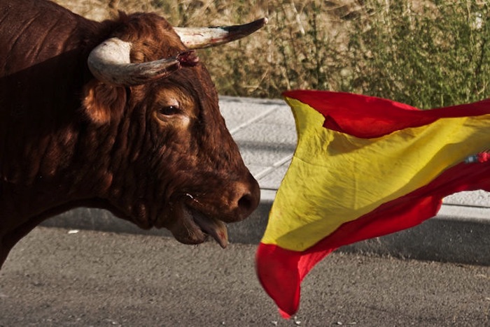 Encierro en Tórtola de Henares. Foto: Jon Amad/ Igualdad Animal
