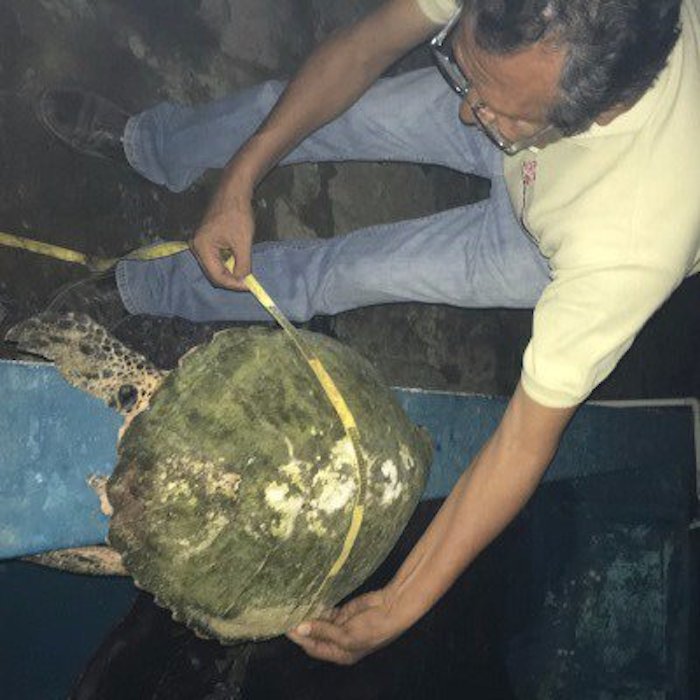 Foto: Twitter vía @PROFEPA_Mx