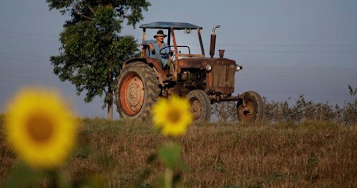 Un granjero maneja su tractor en Pinar del Río Cuba. Foto: AP.