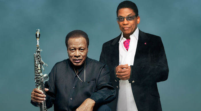 Wayne Shorter y Herbie Hancock, dos genios conectados con el mundo. Foto: Facebook