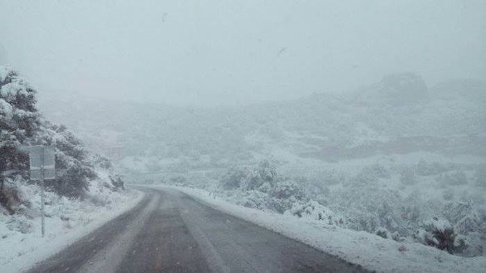 La Carretera Durango-Mazatlán fue cerrada por la caída de nieve. Foto: Twitter vía PoliciaFedMX.