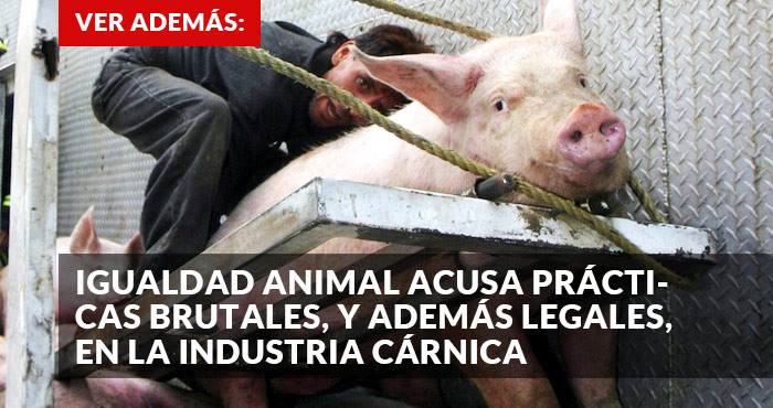 12721892_1088014657922551_483950016_n