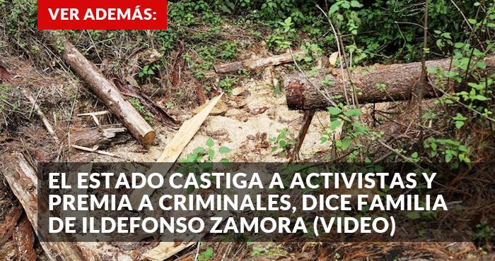 12721898_1092329597491057_1099753629_n