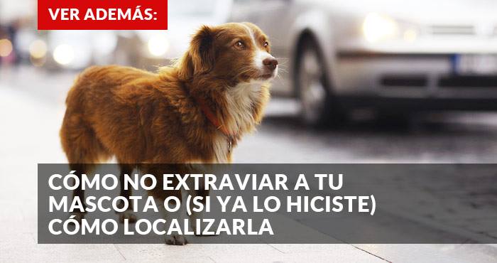 12782434_1094468340610516_1684527040_n