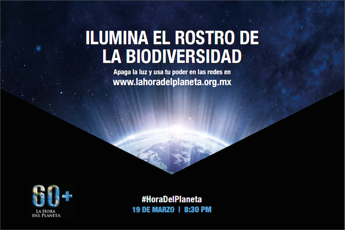 Este año La Hora del Planeta convocó a los mexicanos a “iluminar” el rostro de la biodiversidad nacional votando por la mariposa monarca o el jaguar. Foto: Greenpeace