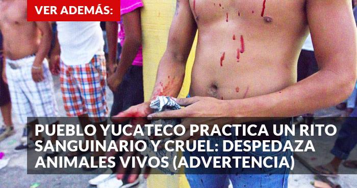 12895542_1093382057385811_551971944_n