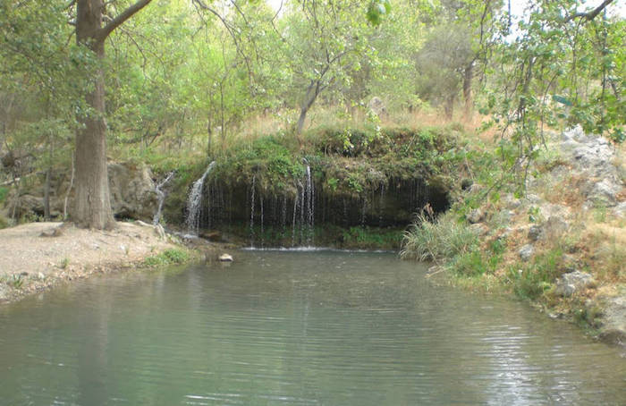 El manantial en disputa. Foto: Vanguardia