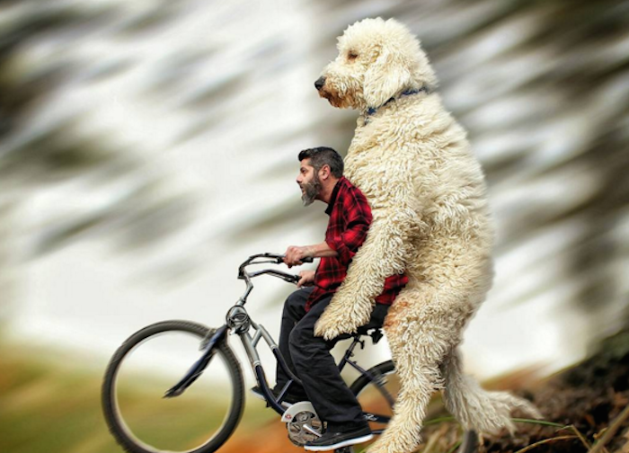 Foto: Instagram vía @christophercline