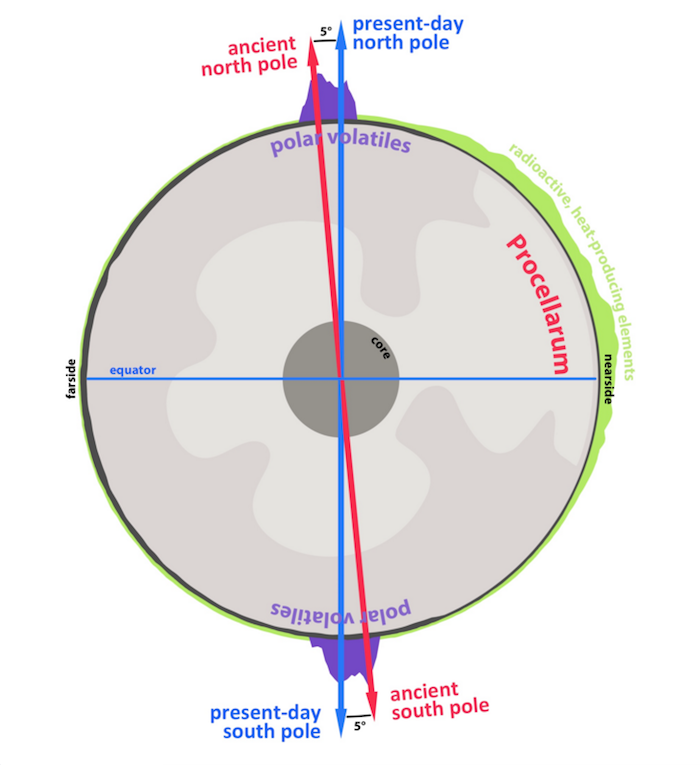 Una sección transversal a través de la Luna, destacando el carácter antípoda de volátiles polares lunares (en morado), y cómo se trazan un poste de giro antigua. La reorientación de ese polo antigua giro (flecha roja) al polo actual de giro (flecha azul) fue impulsado por la formación y evolución de la Procellarum, una región en el lado cercano de la Luna asociada con una alta abundancia de calor radiogenic producir elementos (verde), el flujo de calor de alta y antigua actividad volcánica. Foto: James Tuttle Keane, Universidad de Arizona
