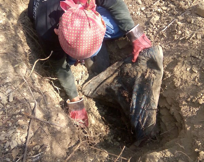 La fosa fue encontrada cerca del cerro de Las Antenas Foto: Alejandro Guerrero, El Sur.