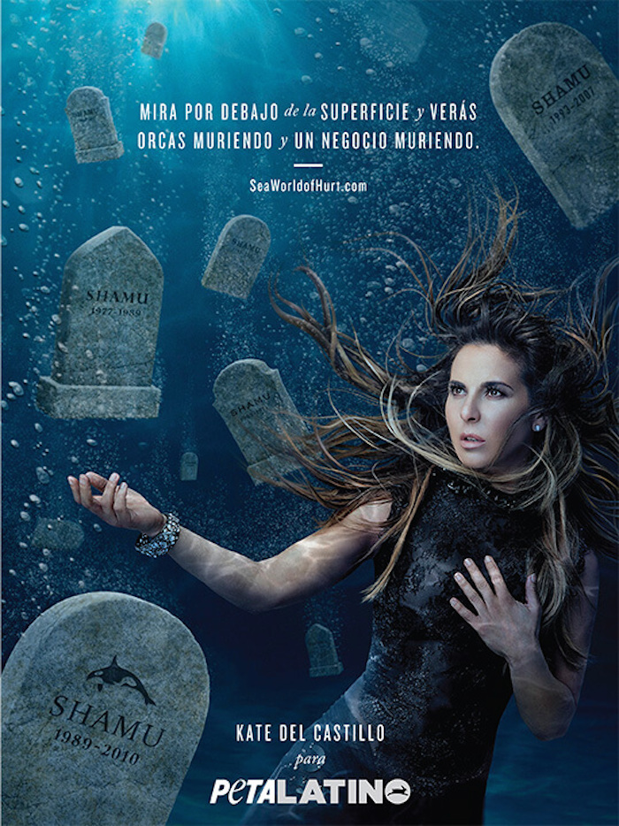 Kate del Catsillo se una a PETA Latino para poner al descubierto las muertes prematuras de los animales bajo el cuidado de SeaWorld. Foto: PETA Latino.