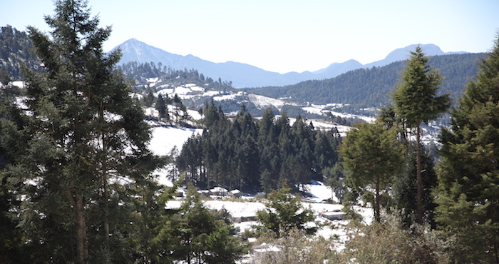 Después de la undécima tormenta invernal, las temperaturas alcanzaron los menos 4 grados centígrados en la biosfera, lo cuál provocó una fuerte helada. Foto: Cuartoscuro.