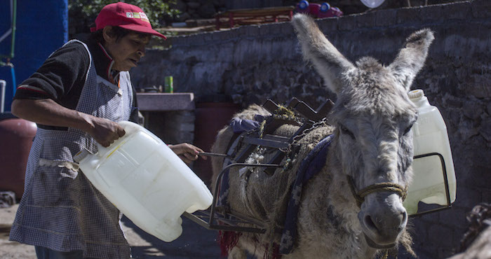 La señora Aurelia Martínez fue una de las primeras pobladoras de la colonia Tecacalanco, en la delegación Xochimilco, ubicada en los límites con Tulyehualco, donde vive desde hace 23 años, mismos que ha pasado sin acceso al servicio de agua entubada. Foto: Archivo/Cuartoscuro.