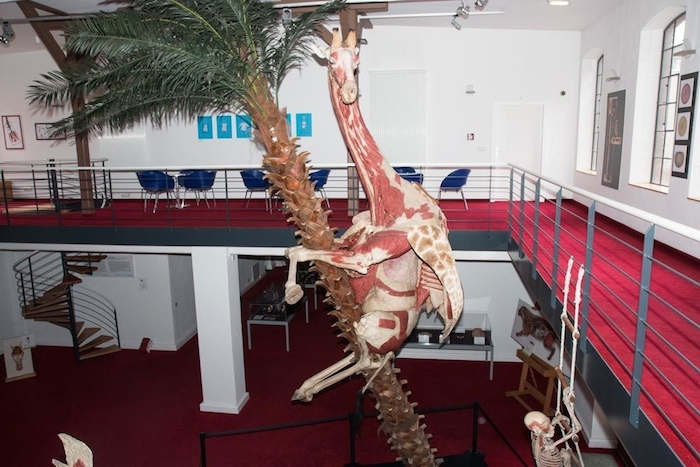 Foto: Natalie Mayroth/Vice