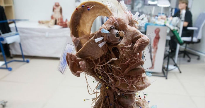 Foto: Natalie Mayroth/Vice