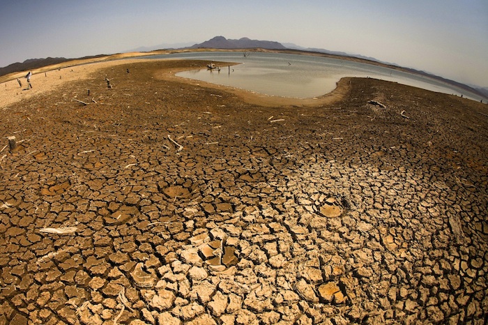 Sequía en campos. Foto: Cuartoscuro/ Archivo