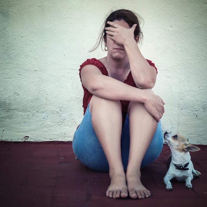 Investigaciones muestran que el efecto del maltrato animal sobre las mujeres y sus familias es devastador. Foto: Shutterstock.