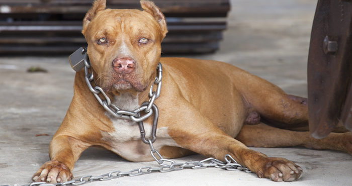 Foto: Archivo/Shutterstock.