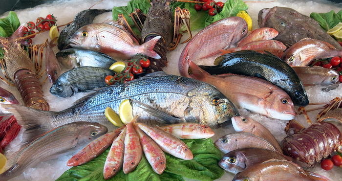 Según los investigadores, con su aplicación en los salmones de prueba se obtuvo un "retraso en el crecimiento de microorganismos durante la etapa de conservación", hasta en 22 días después de ser almacenados a una temperatura de cero grados Celsius. Foto. Archivo