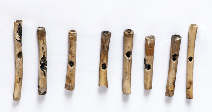 Conjunto de ocho flautas traveseras elaboradas con huesos de animales encontrados dentro del ajuar con el que se encontraba una mujer de aproximadamente 40 años de edad que un grupo de arqueólogos descubrió en Áspero. Foto: EFE