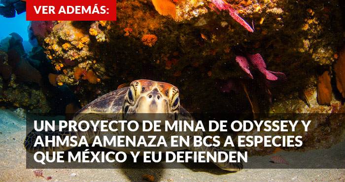 13014885_1110164195707597_639519870_n