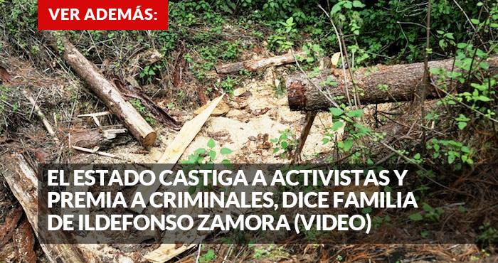 13101049_1118502944873722_2029337601_n