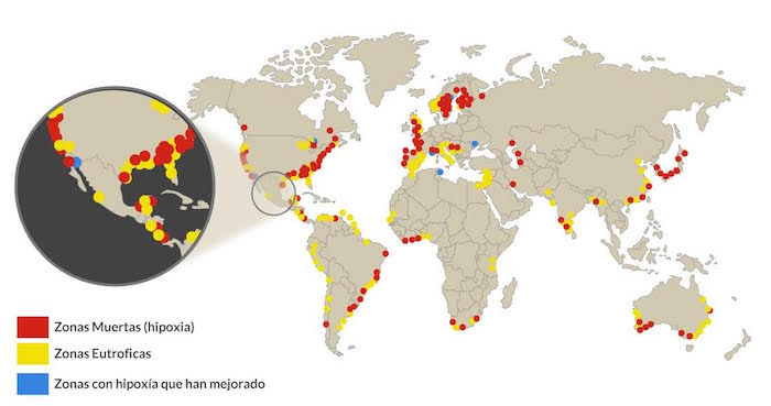 De acuerdo con las estimaciones de Greenpeace, cada año hay 30 nuevas zonas muertas en el océano como consecuencia del exceso de nutrientes. Gráfico: SinEmbargo