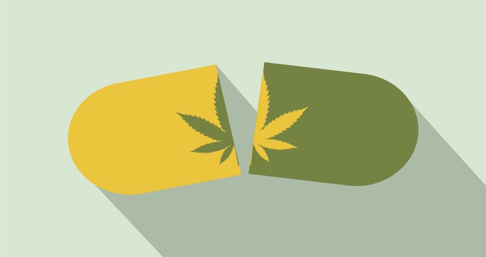 Foto: Archivo/Shutterstock.