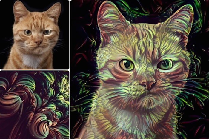 Foto: ostagram/Nicholas