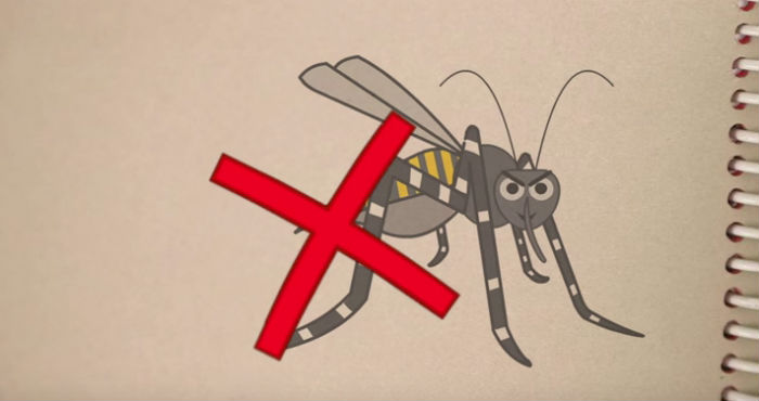 La campaña indica cómo protegerse de las picaduras de mosquito. Imagen: Especial/OPS