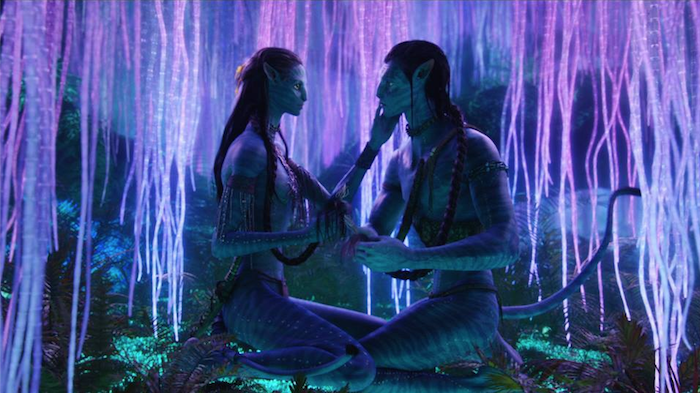 Foto: Facebook Avatar