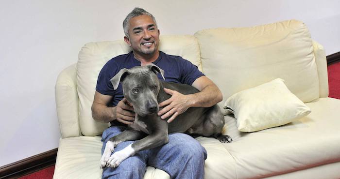 César Millán. Foto: EFE