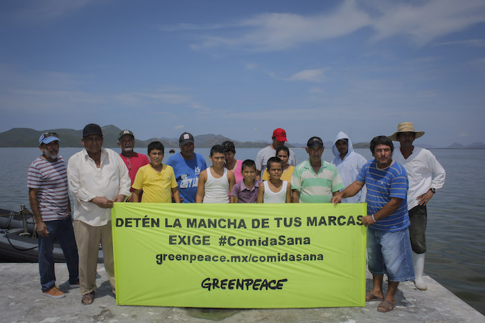Activistas de Greenpeace en la visita "El Huitussi" a bordo del buque Esperanza en agosto pasado, donde los pobladores denunciaron el impacto a la actividad pesquera debido al uso de fertilizantes y agrotóxicos que se vierten en los campos de cultivo, por parte de las empresas como; Bimbo, Maseca, Herdez, La Costeña y Bachoco, provocando la muerte de peces y camarones. Foto: Cuartoscuro.