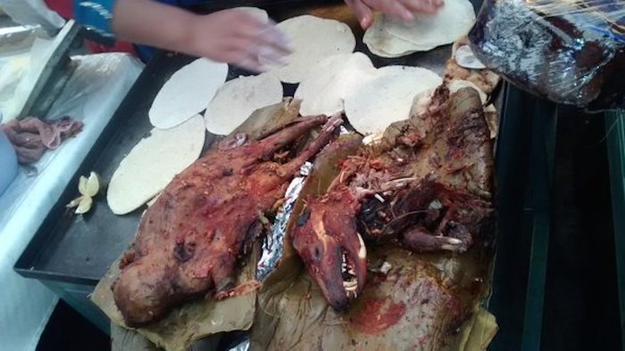 Ardillas cocinadas. Foto: Twitter vía @PROFEPA_Mx