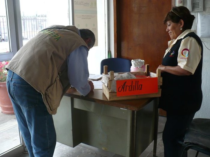 Personal de la Profepa. Foto: Twitter vía @PROFEPA_Mx