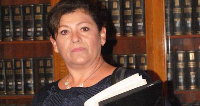 Diputada Luz Elena Govea. Foto: especial.