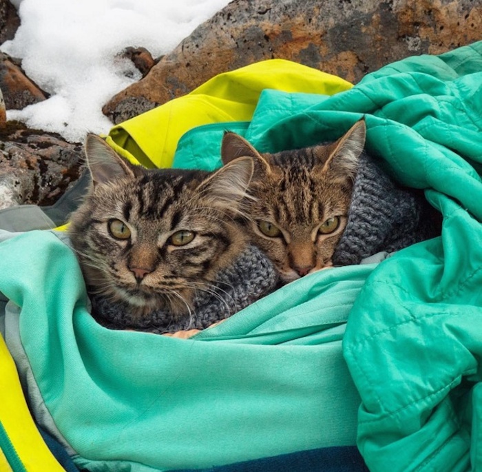 Foto: Instagram, boltandkeel