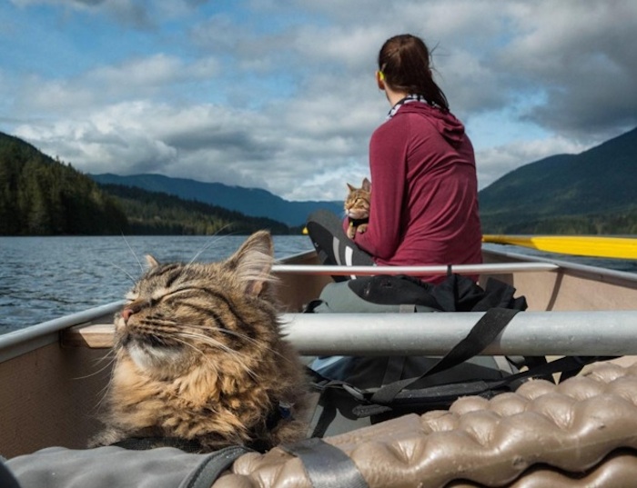 Foto: Instagram, boltandkeel