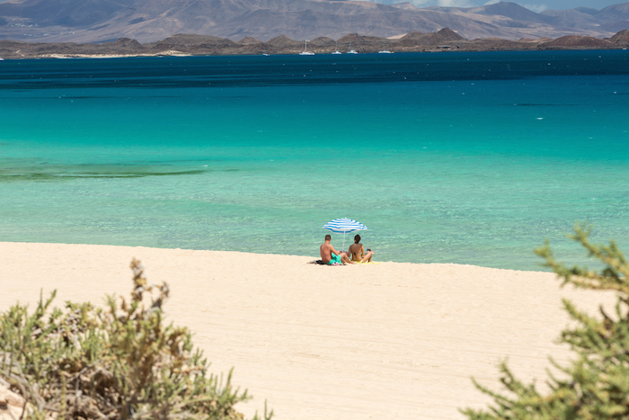 Crearán isla para infieles. Foto: Shutterstock