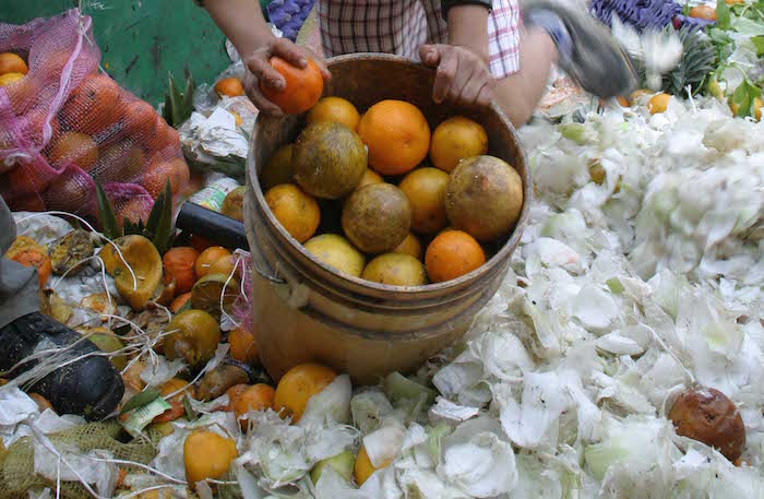 La ibero propone un proceso para aprovechar los desechos de la Central de Abasto. Foto: Cuartoscuro.