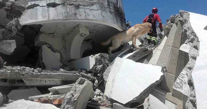 Dayko. Foto: Facebook, Cuerpo De Bomberos Ibarra Ibarra