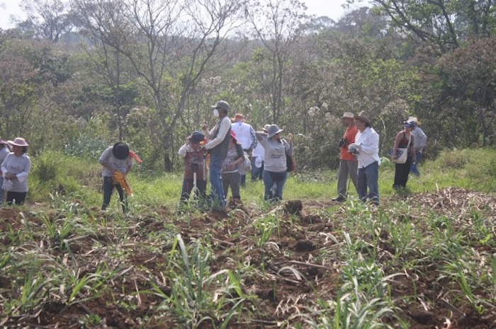 La búsqueda inició frente a los campos de sembradíos. Foto: Blog Expediente.