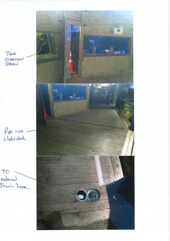 La imagen de la fuga del pulpo. Foto: Facebook, National Aquarium of New Zealand