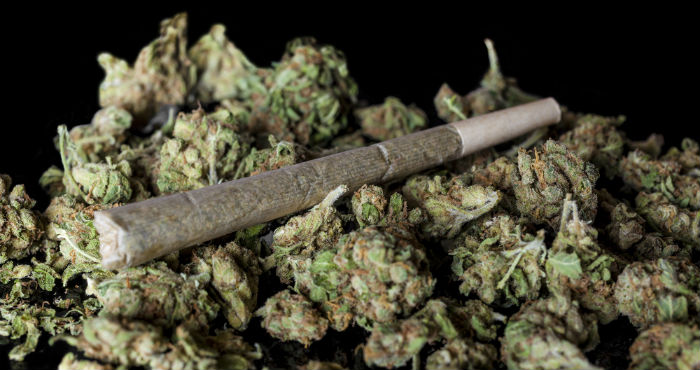 De acuerdo con el Informe Mundial sobre las Drogas 2014, 4-7 millones de mexicanos ha consumido mariguana. Imagen: Shutterstock