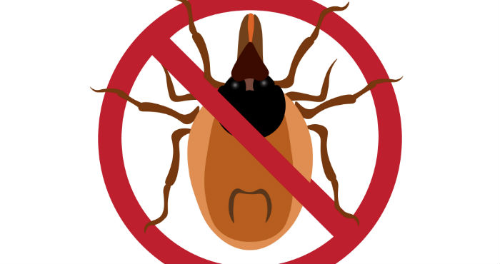 Imagen: Shutterstock