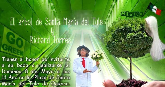 El activista peruano se casa con el árbol del Tule. Foto: Facebook