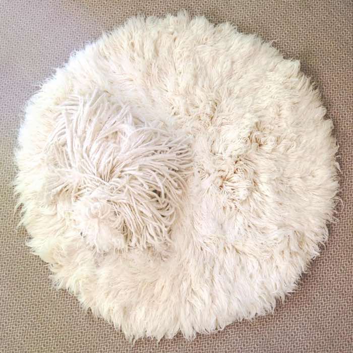 En la imagen, "Beast" sobre un tapete. Foto: Facebook.