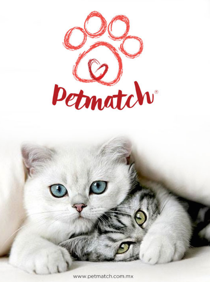 Lo mejor de esta plataforma es que promueve ampliamente la adopción. Foto: Petmatch.